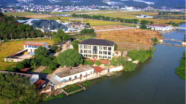 1734402045448289.png 3.png